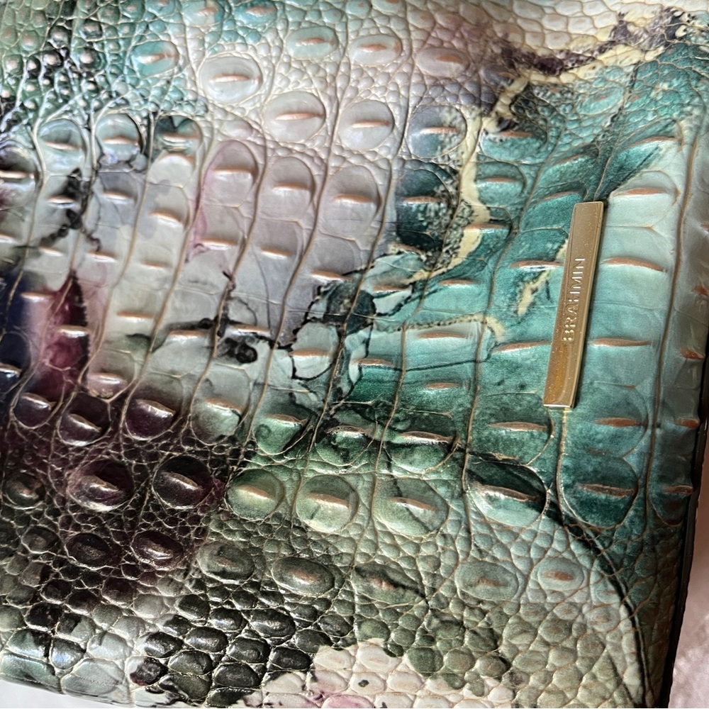 Brahmin handbag